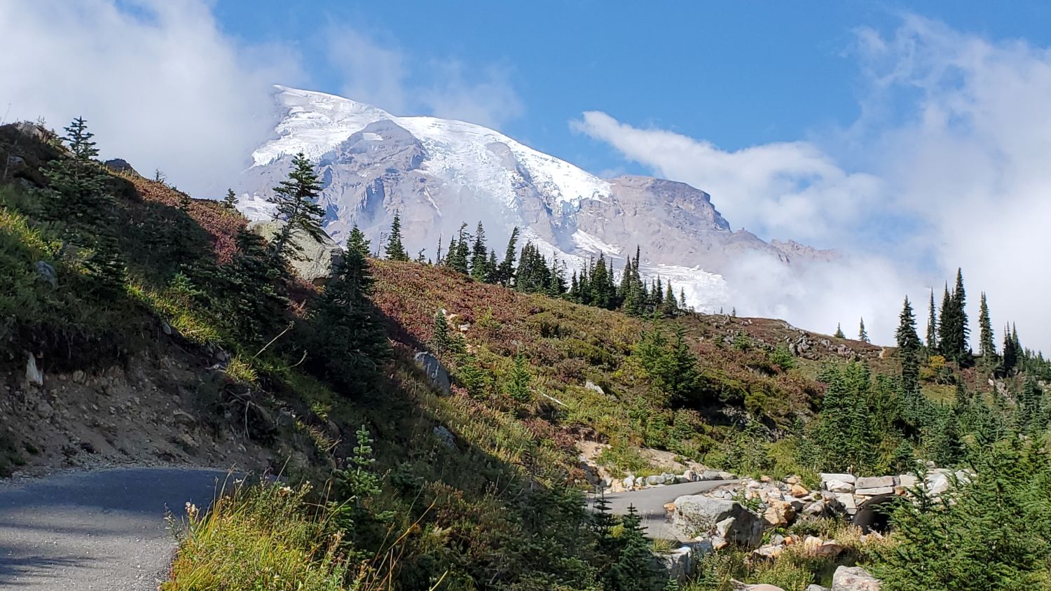 Mount Rainier NP 